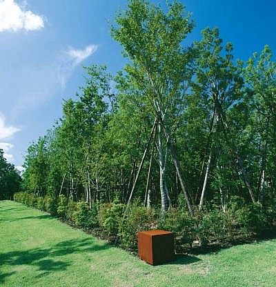 image of Graceful Woods Surrounded by Four Iron Cubes