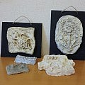 <!--:ja-->型押しレリーフで空想生物をつくろう<!--:--><!--:en-->型押しレリーフで空想生物をつくろう<!--:-->