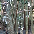 <!--:ja-->秋風をつかむウィンドチャイム（終了しました）<!--:-->
